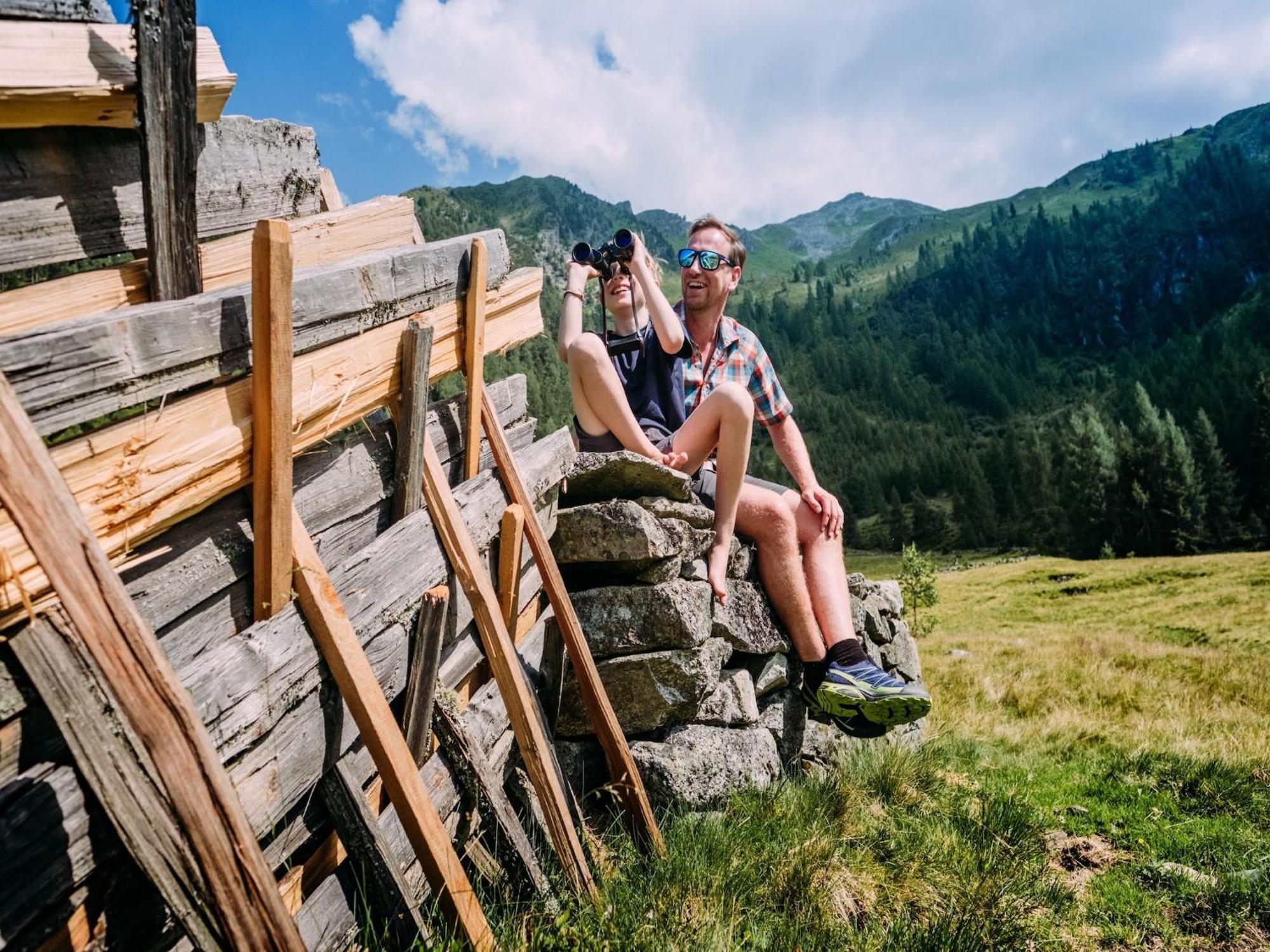 Apartment Johann In Wald Im Pinzgau With Balcony Εξωτερικό φωτογραφία